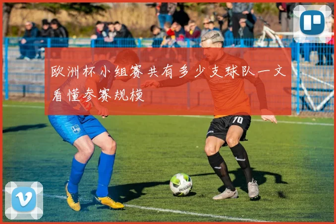 欧洲杯小组赛共有多少支球队一文看懂参赛规模