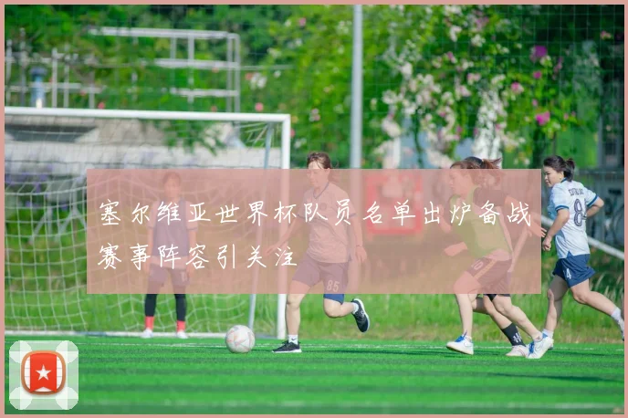 塞尔维亚世界杯队员名单出炉备战赛事阵容引关注