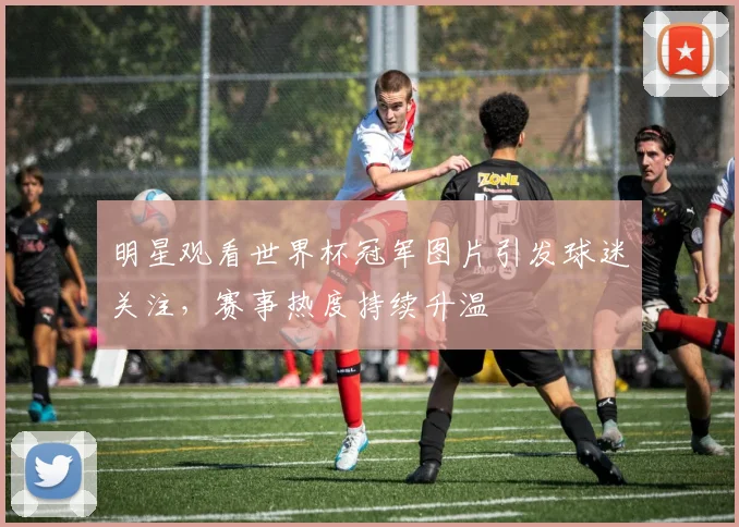 明星观看世界杯冠军图片引发球迷关注,赛事热度持续升温