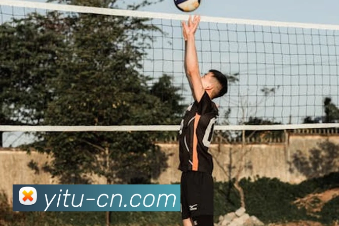 必一体育sport官网平台生态图