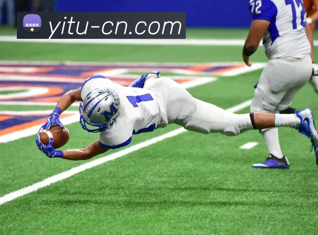 必一体育sport官网APP 封面图